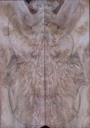 myrtlewood burl 5